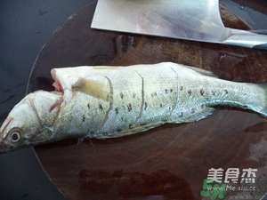 鱸魚(yú)蒸多長(zhǎng)時(shí)間？鱸魚(yú)怎么蒸？