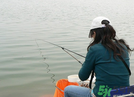 秋天釣鯉魚用什么味型？秋季釣鯉魚餌料味型