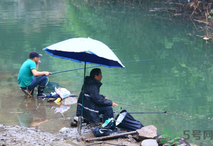 釣的魚怎么保存？釣的魚吃不完怎么保存？