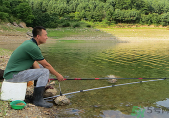 釣的魚怎么保存？釣的魚吃不完怎么保存？