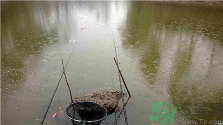 十月下雨能釣魚(yú)嗎?十月下雨天鰱魚(yú)好釣嗎?