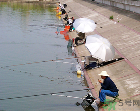 水庫(kù)釣魚用什么餌料？水庫(kù)釣魚用什么商品餌？