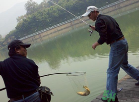 秋季釣黑魚用什么魚餌？秋天釣黑魚用什么餌？