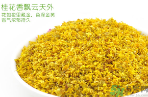 剛摘的桂花有蟲怎么辦？干桂花長蟲怎么辦？