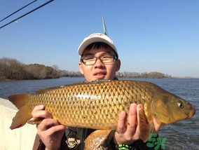 夜釣鯉魚用什么餌料？秋天夜釣鯉魚用什么餌料？