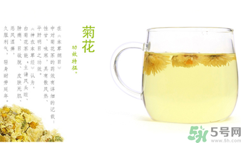 菊花茶可以放冰箱嗎？菊花茶能放冰箱冷凍嗎？