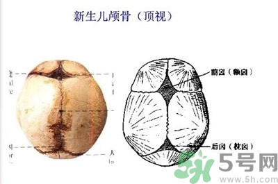 寶寶頭上的鹵門在哪里?寶寶頭上的鹵門能摸嗎?