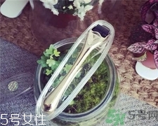 微針可以自己在家做嗎?家用微針幫你祛痘