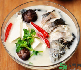 鯽魚湯的營(yíng)養(yǎng)價(jià)值 鯽魚湯的功效與作用