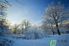 下雪天會打雷嗎？下雪天為什么會大雷？