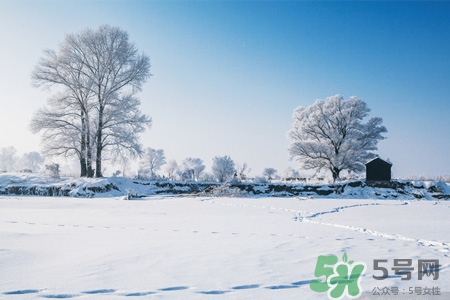 下雪天會打雷嗎？下雪天為什么會大雷？