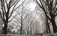 降雪需要什么條件 降雪一般達(dá)到多少度