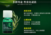 the body shop茶樹精油怎么用？美體小鋪茶樹精油怎么打開