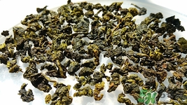 苦丁茶和菊花能一起泡嗎?苦丁茶和菊花一起泡會(huì)怎么樣