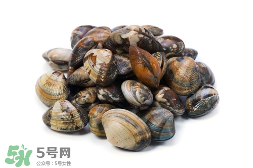 海瓜子是什么?吃海瓜子有什么好處