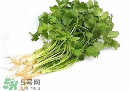 芹菜根怎么吃?芹菜根的功效與作用