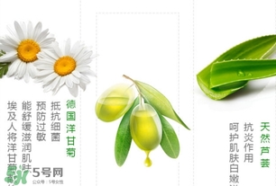 德國(guó)小甘菊護(hù)手霜新舊包裝區(qū)別 德國(guó)小甘菊護(hù)手霜新舊包裝對(duì)比