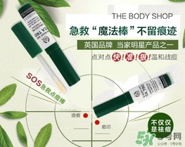 the body shop茶樹急救棒怎么用？美體小鋪茶樹祛痘急救棒用法