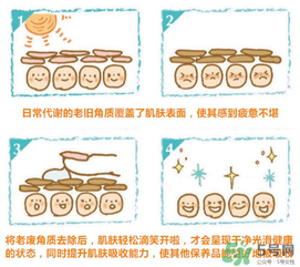 cure去角質(zhì)凝膠怎么用？cure去角質(zhì)使用方法