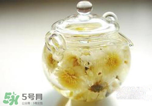 菊花茶什么時候喝最好？菊花茶什么季節(jié)喝最好？