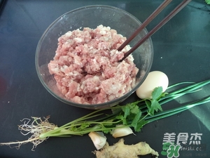 肉丸子可以用面粉嗎？肉丸子用什么粉？