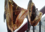 新鮮魚(yú)怎么腌制咸魚(yú)塊？咸魚(yú)塊怎么腌制