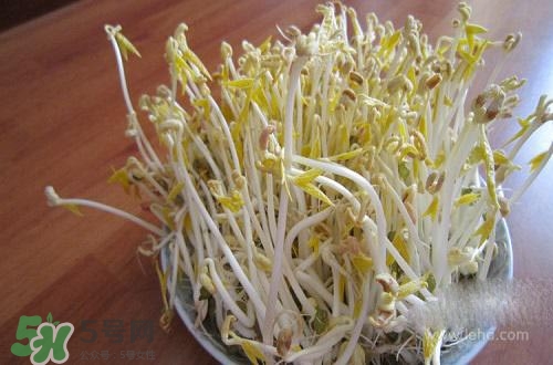 豆芽糖尿病可以吃嗎？糖尿病吃豆芽有什么好處？