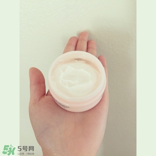 the body shop維e晚霜怎么用？美體小鋪維e晚霜使用方法