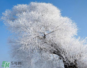 2017年第一場雪什么時候？2017年什么時候下雪？