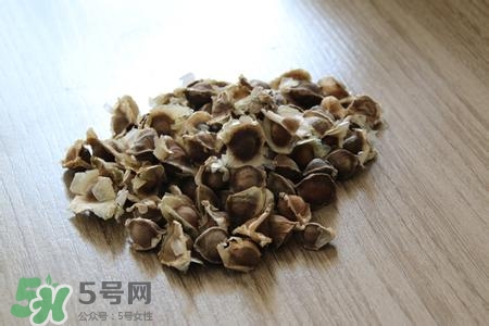 辣木籽是什么東西?辣木籽的功效與作用