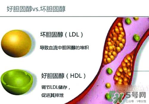 膽固醇高是血脂稠嗎？膽固醇高和血脂稠有什么聯(lián)系？