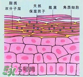 敷面膜真的有效嗎？敷面膜真的有用嗎？