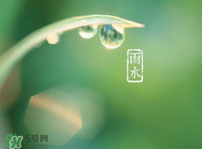 雨水吃什么？雨水節(jié)氣飲食禁忌？