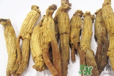 高麗參的營養(yǎng)價(jià)值 高麗參的功效與作用