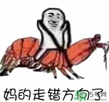 說人皮皮蝦是什么意思？女生叫男生皮皮蝦什么意思？