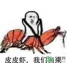 說人皮皮蝦是什么意思？女生叫男生皮皮蝦什么意思？