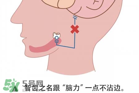 智齒會(huì)引起耳鳴嗎？耳鳴跟智齒有關(guān)系嗎？