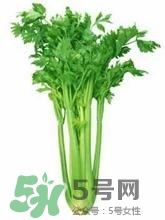 負卡路里的食物有哪些？負卡路里食物真的吃不胖嗎？