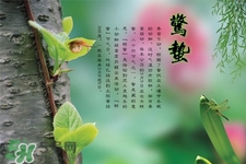 驚蟄吃什么蔬菜好？驚蟄節(jié)氣養(yǎng)生吃什么蔬菜？