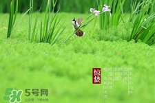 驚蟄吃什么蔬菜好？驚蟄節(jié)氣養(yǎng)生吃什么蔬菜？