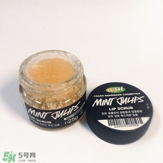 lush唇部磨砂膏怎么用？lush唇部磨砂膏使用方法