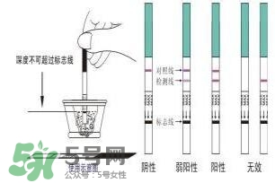 驗(yàn)孕試紙準(zhǔn)嗎？驗(yàn)孕試紙?jiān)趺纯辞髨D解