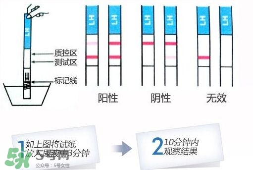 早孕試紙什么時候測最準(zhǔn)？早孕試紙什么時候可以測出來