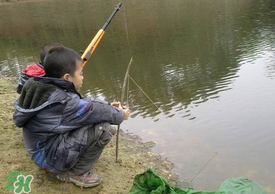 驚蟄能釣魚嗎？驚蟄釣什么魚好？