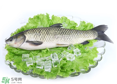 草魚(yú)怎么做好吃 草魚(yú)怎么做好吃又簡(jiǎn)單