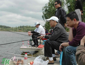 驚蟄過后好釣魚嗎？驚蟄后陰雨天好釣魚嗎？