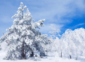 三月份還會下雪嗎？哈爾濱三月份還有雪嗎？