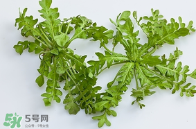 薺菜是什么菜？薺菜是什么野菜？