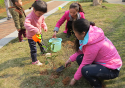 植樹節(jié)一般種什么樹？植樹節(jié)種什么樹比較好？