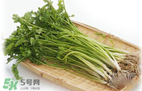 吃野芹菜會(huì)中毒嗎？吃野芹菜中毒了怎么辦？